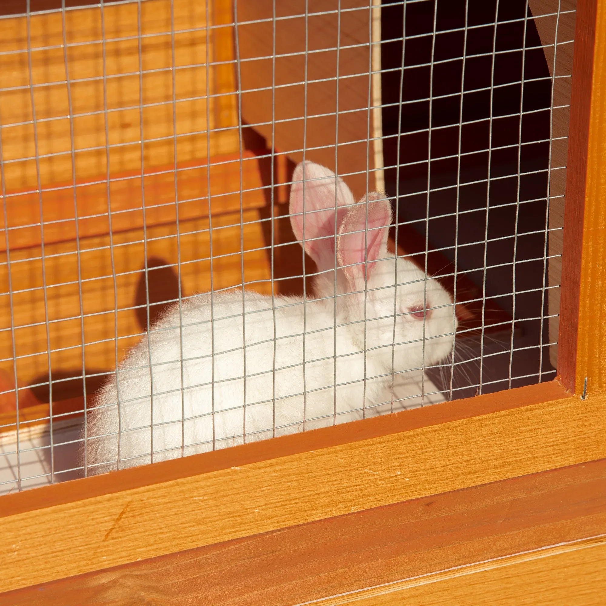 2-Tier Rabbit Hutch Wooden Guinea Pig Hutch Double Decker Pet Cage Run with Sliding Tray Opening Top