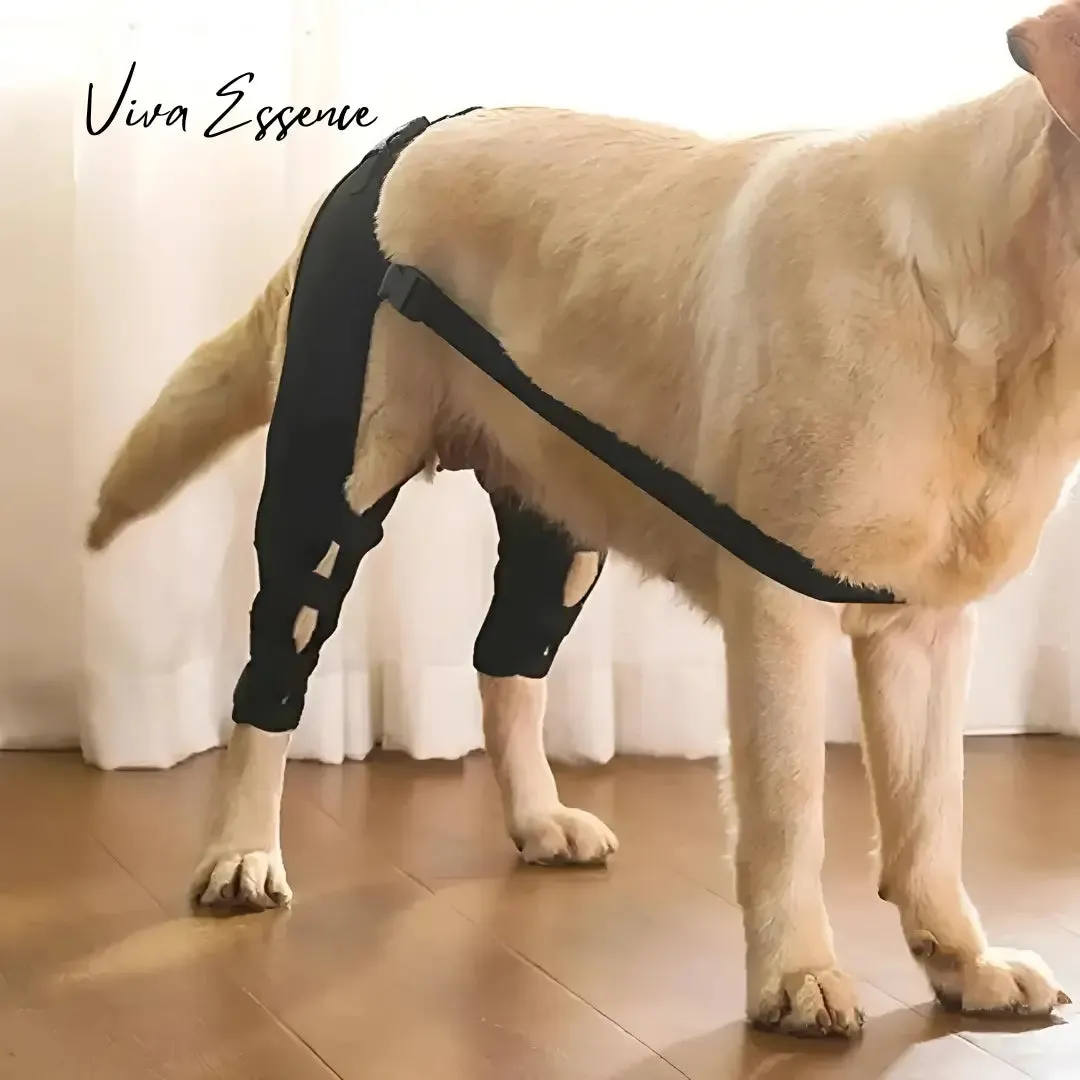 Adjustable Dog Knee and Leg Support Brace