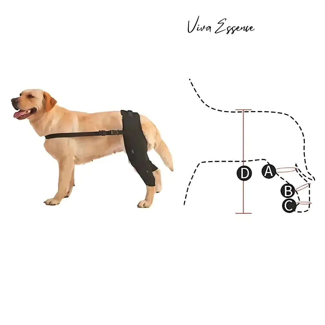 Adjustable Dog Knee and Leg Support Brace