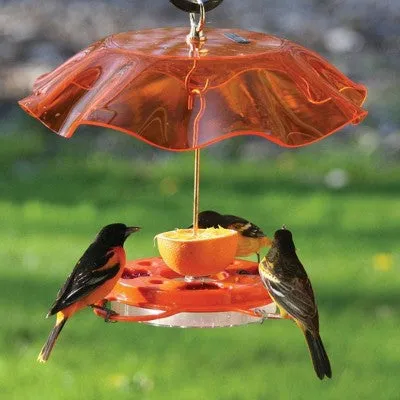 Birds Choice 12oz Oriolfest Translucent Top Weatherguard Oriole Bird Feeder 13" Orange: Polycarbonate, Easy to Hang, Weather-Resistant