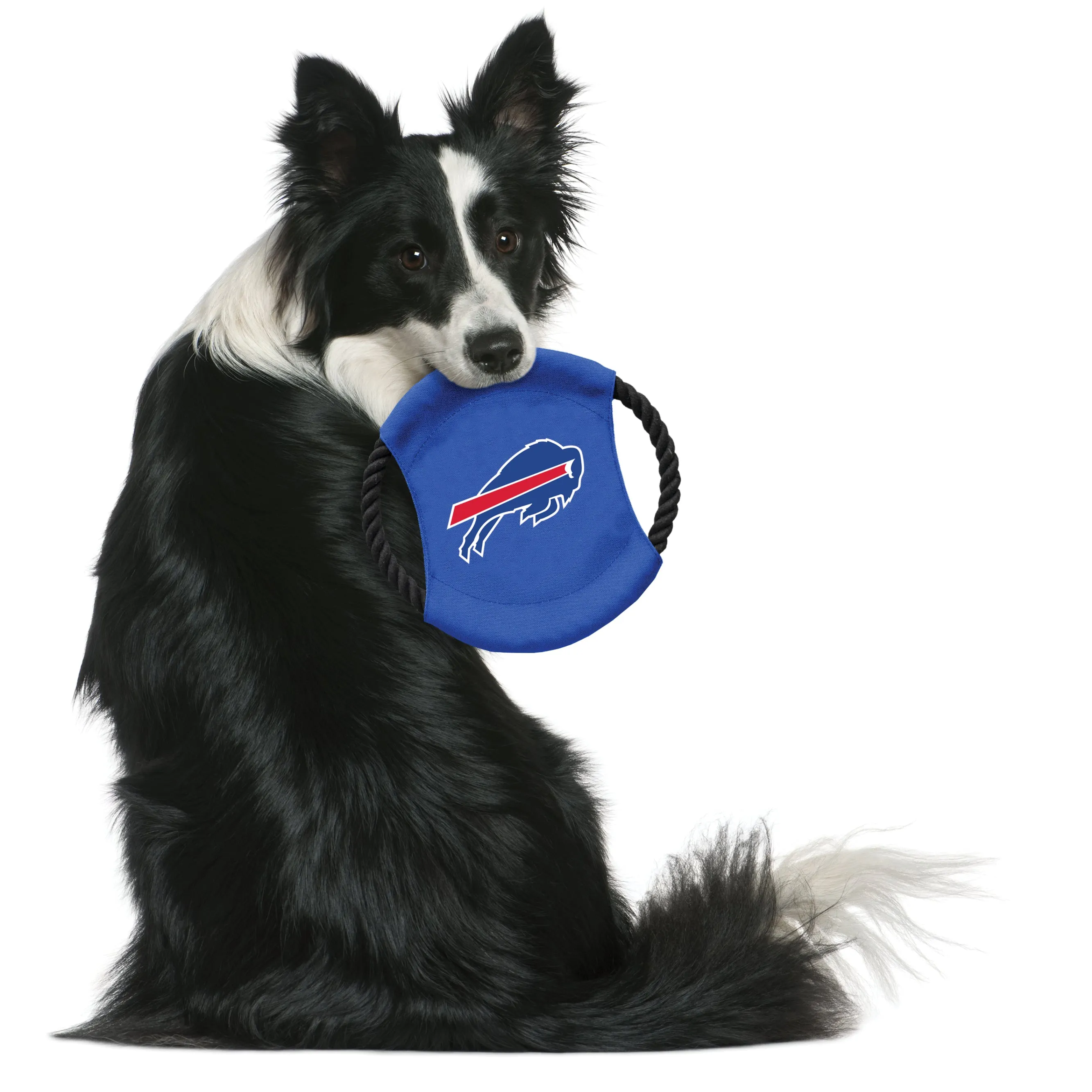 Buffalo Bills Team Flying Disc Pet Toy