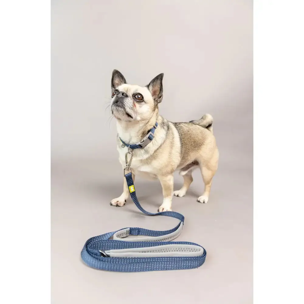 Built Pets Reflective Lead Small - Blue