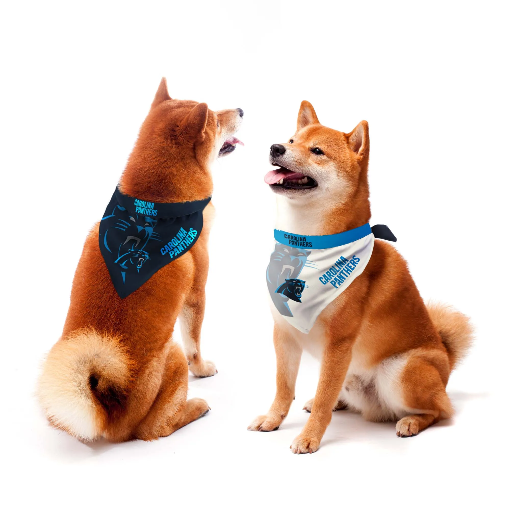 Carolina Panthers Home and Away Pet Bandana Set