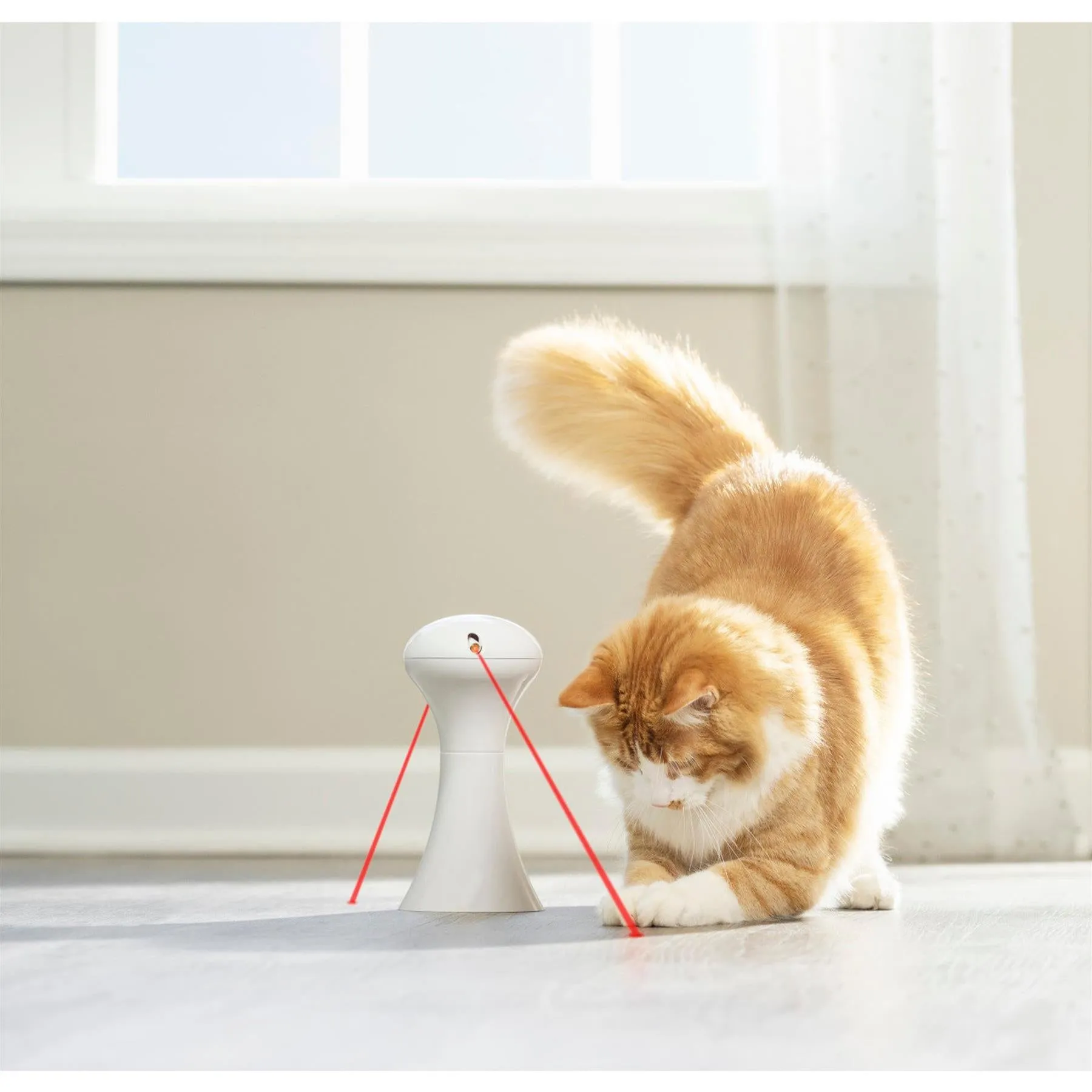 Cat Laser With Auto Switch Off & 360° Rotating Laser