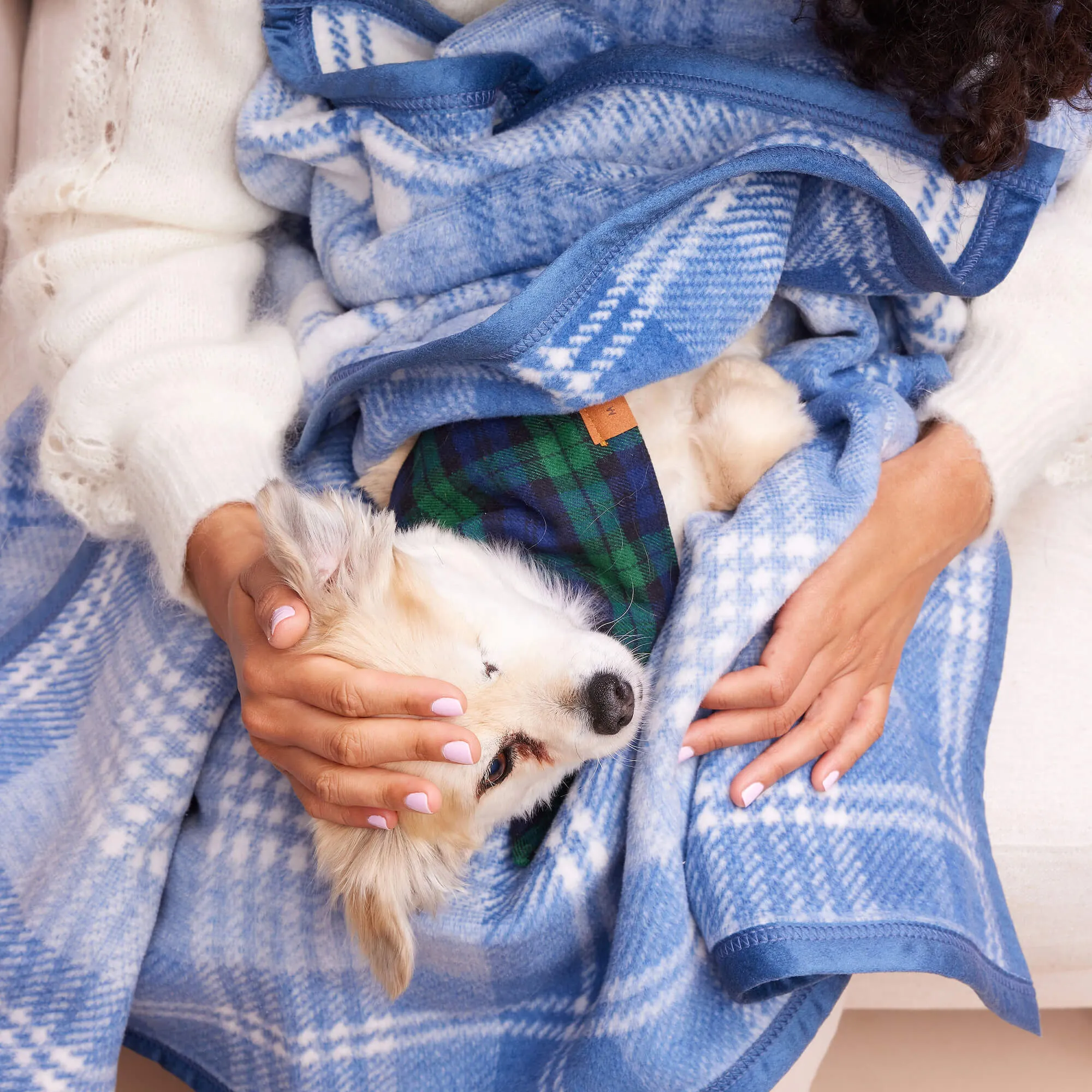 ChappyWrap x TFD Blue Frost Plaid Dog Blanket