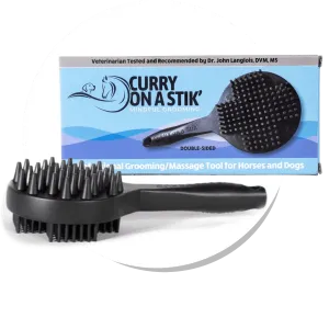 CURRY ON A STIK THERAPEUTIC CURRY BRUSH