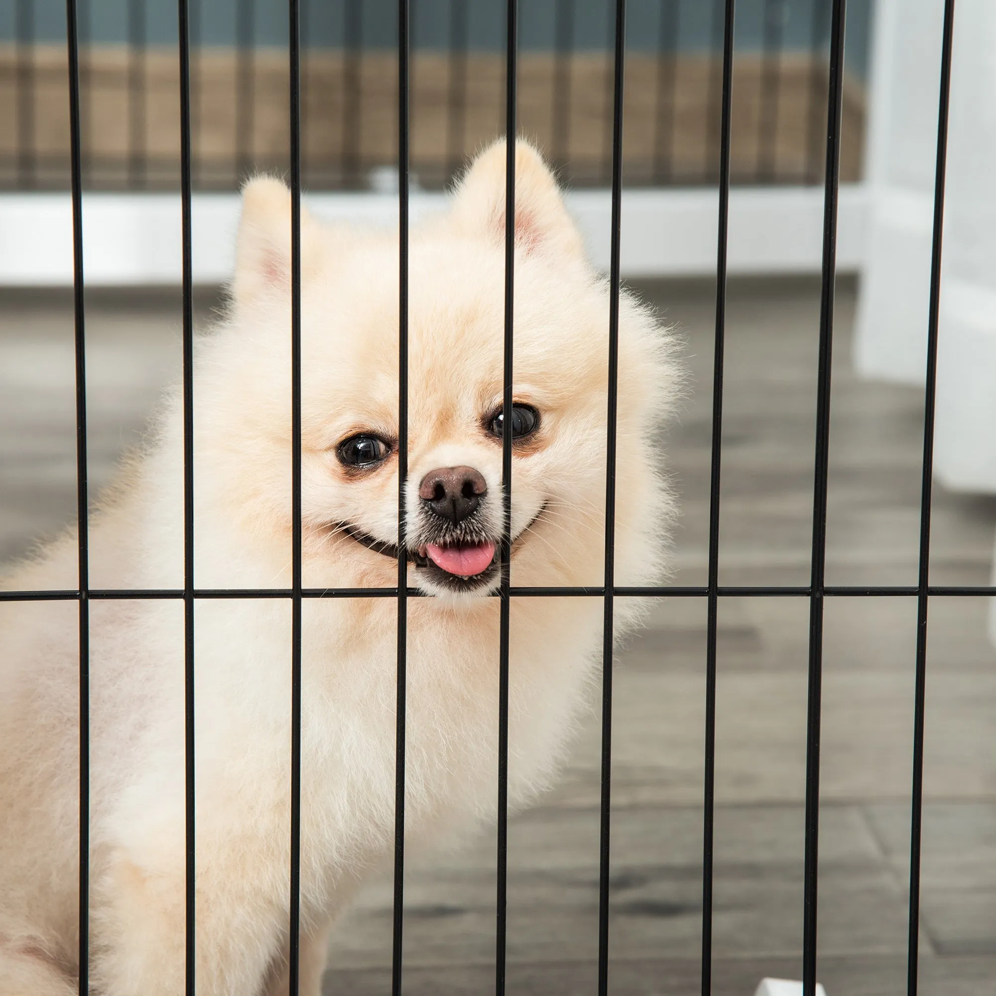 Freestanding Pet Gate 4 Panel Wooden Dog Barrier Foldable Safety Fence with Support Feet 264cm Long 77cm Tall for Doorway Stairs White