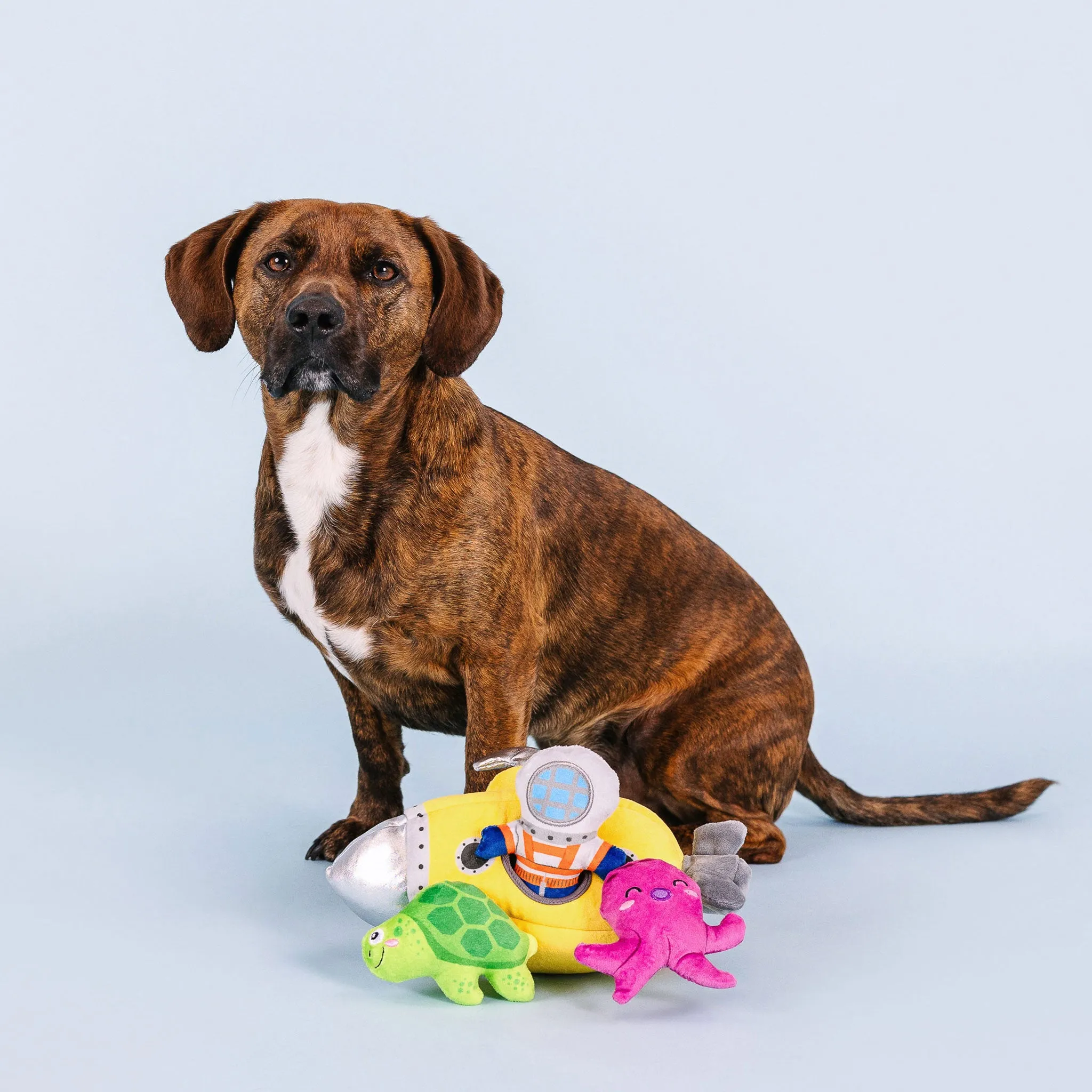 Fringe Into the Deep Burrow Dog Toys