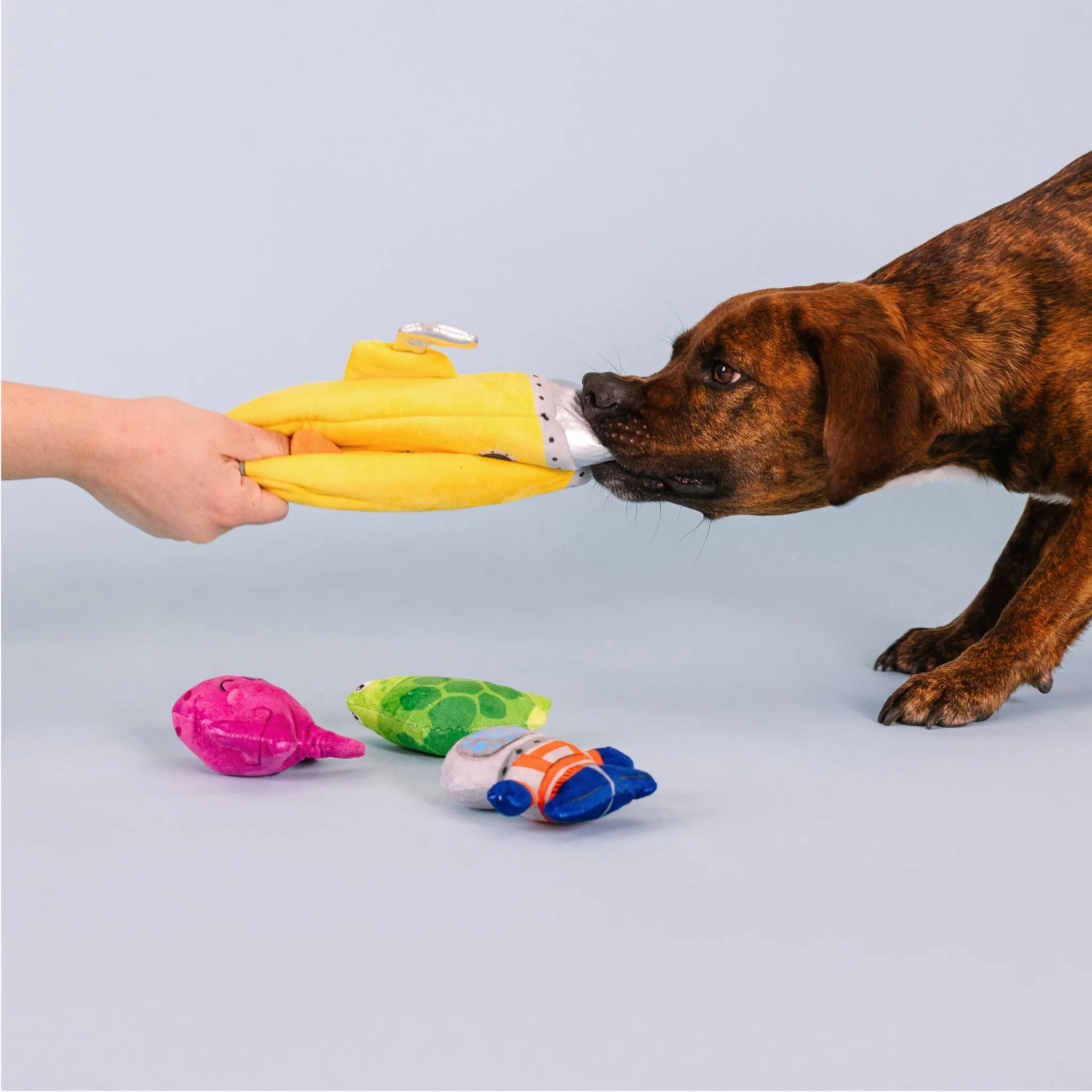 Fringe Into the Deep Burrow Dog Toys