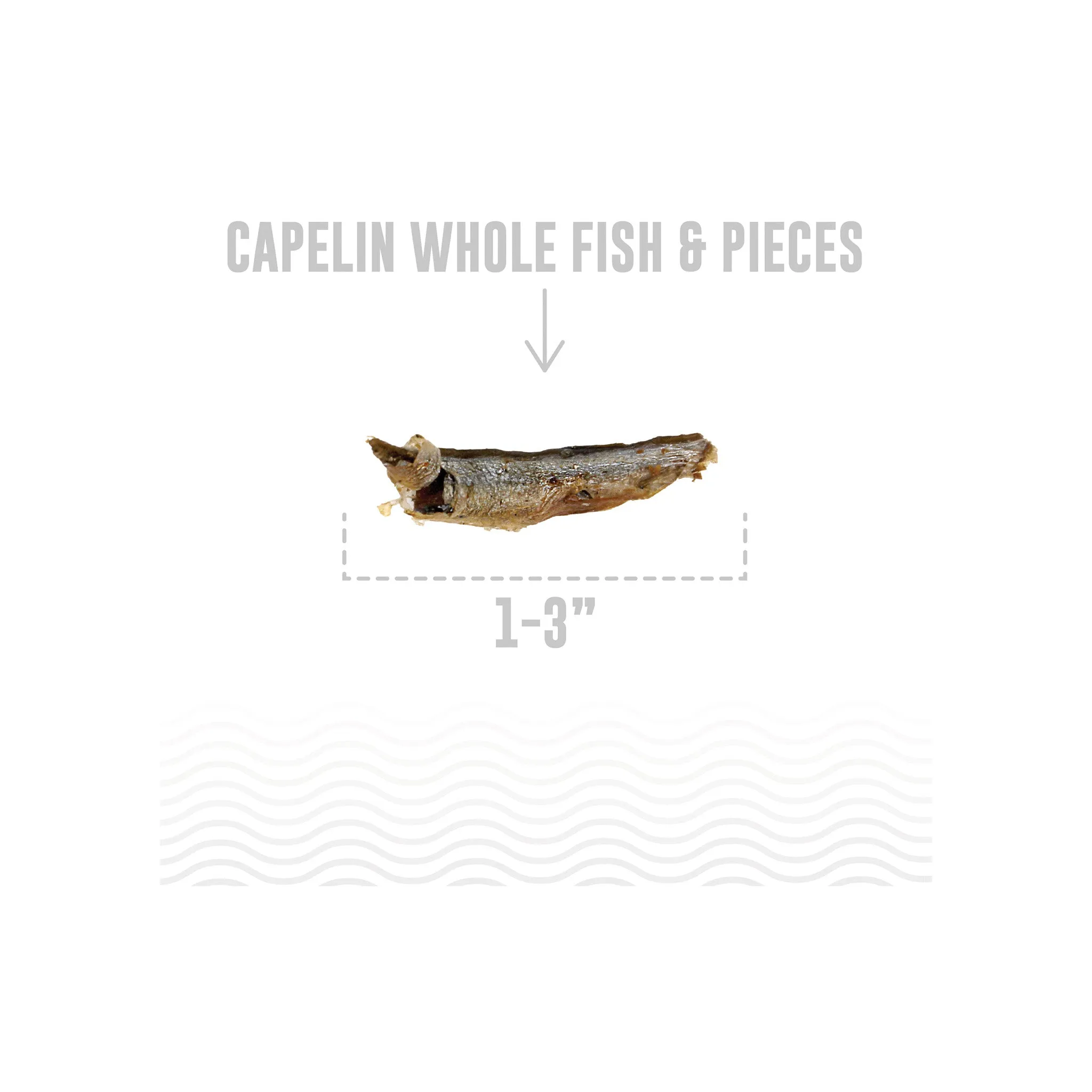 Icelandic  Capelin Whole Fish & Pieces Dog Treats