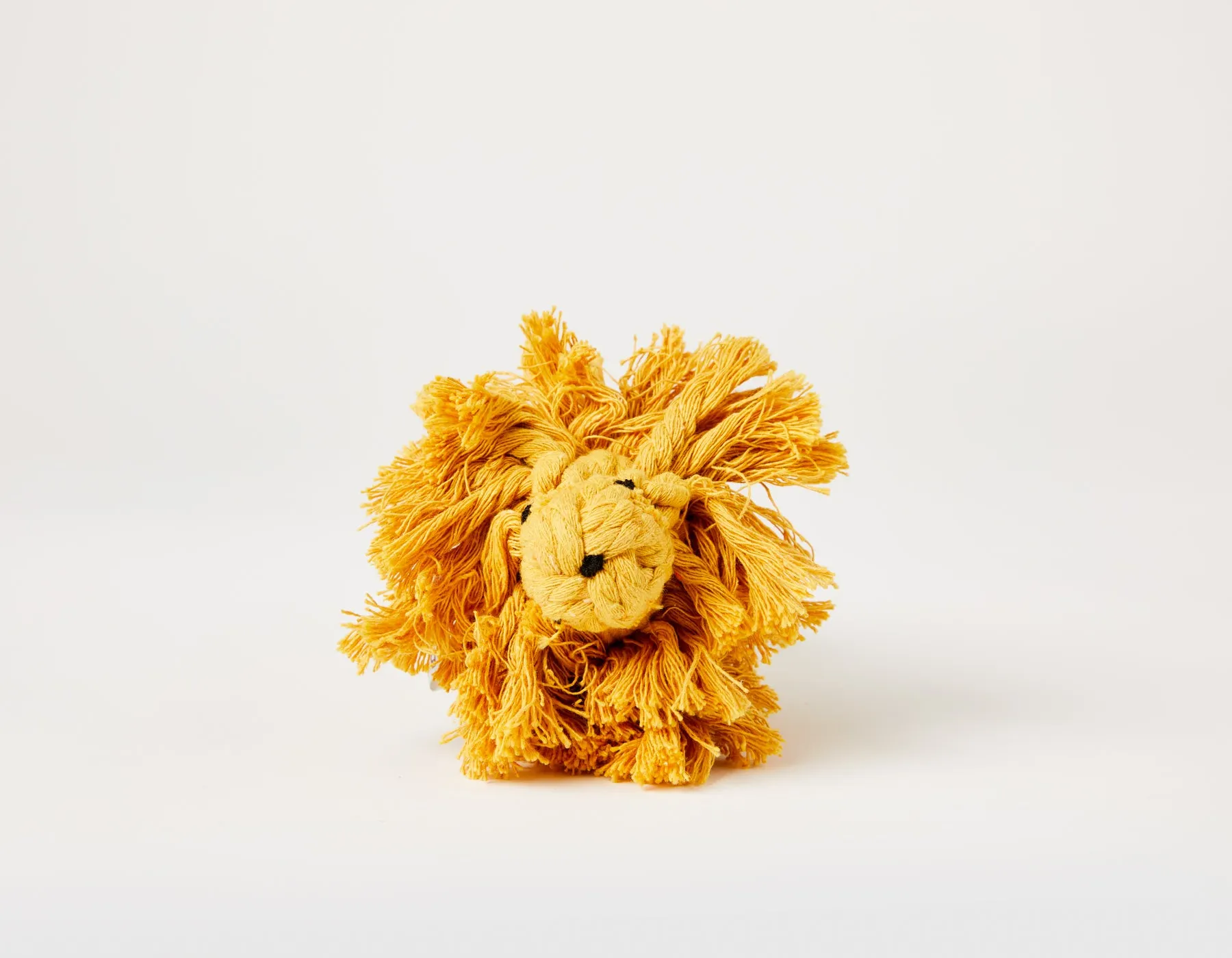 Larry the Lion Rope Dog Toy