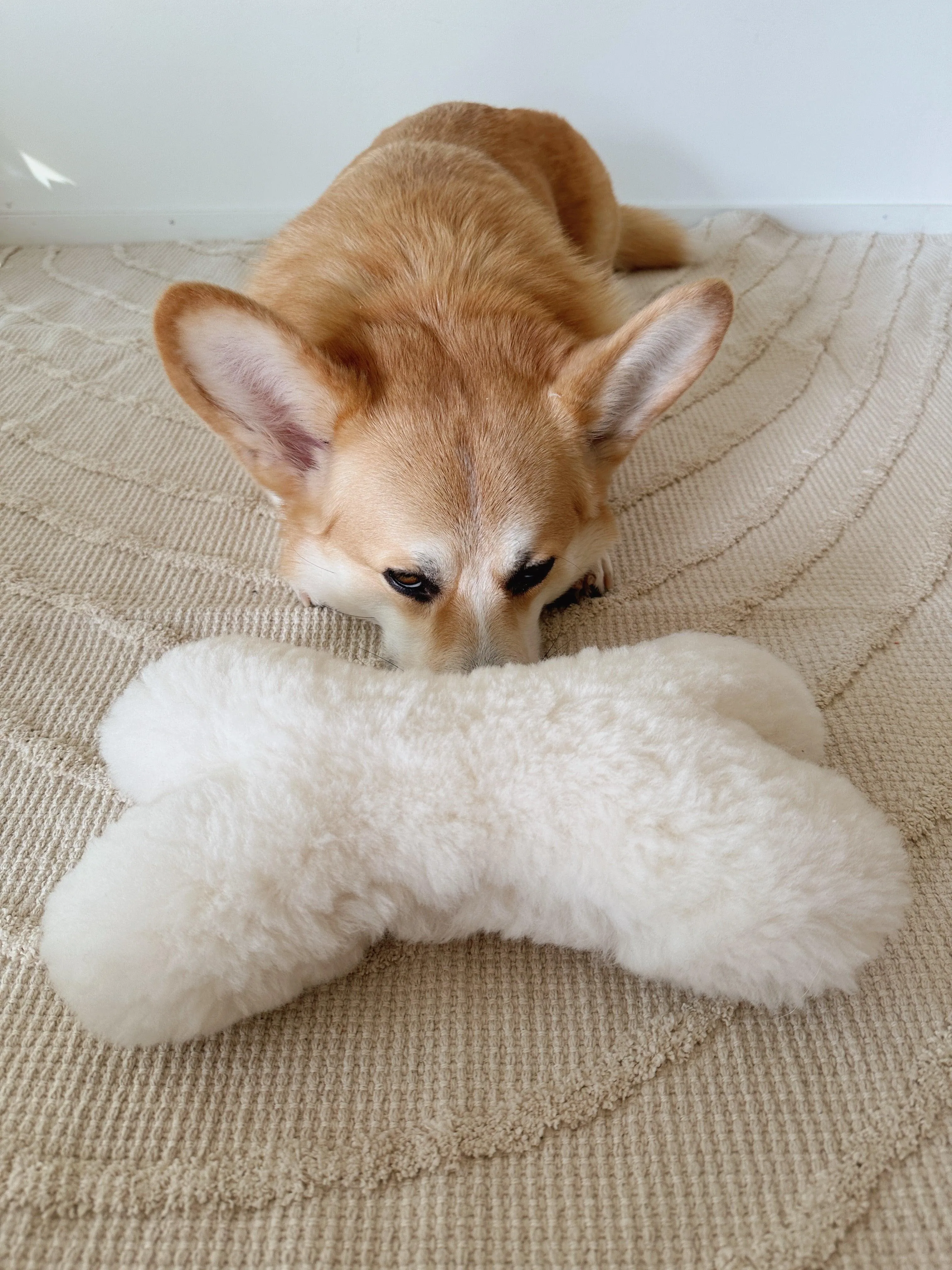 Natural Sheepskin Dog Toy - Bone - White