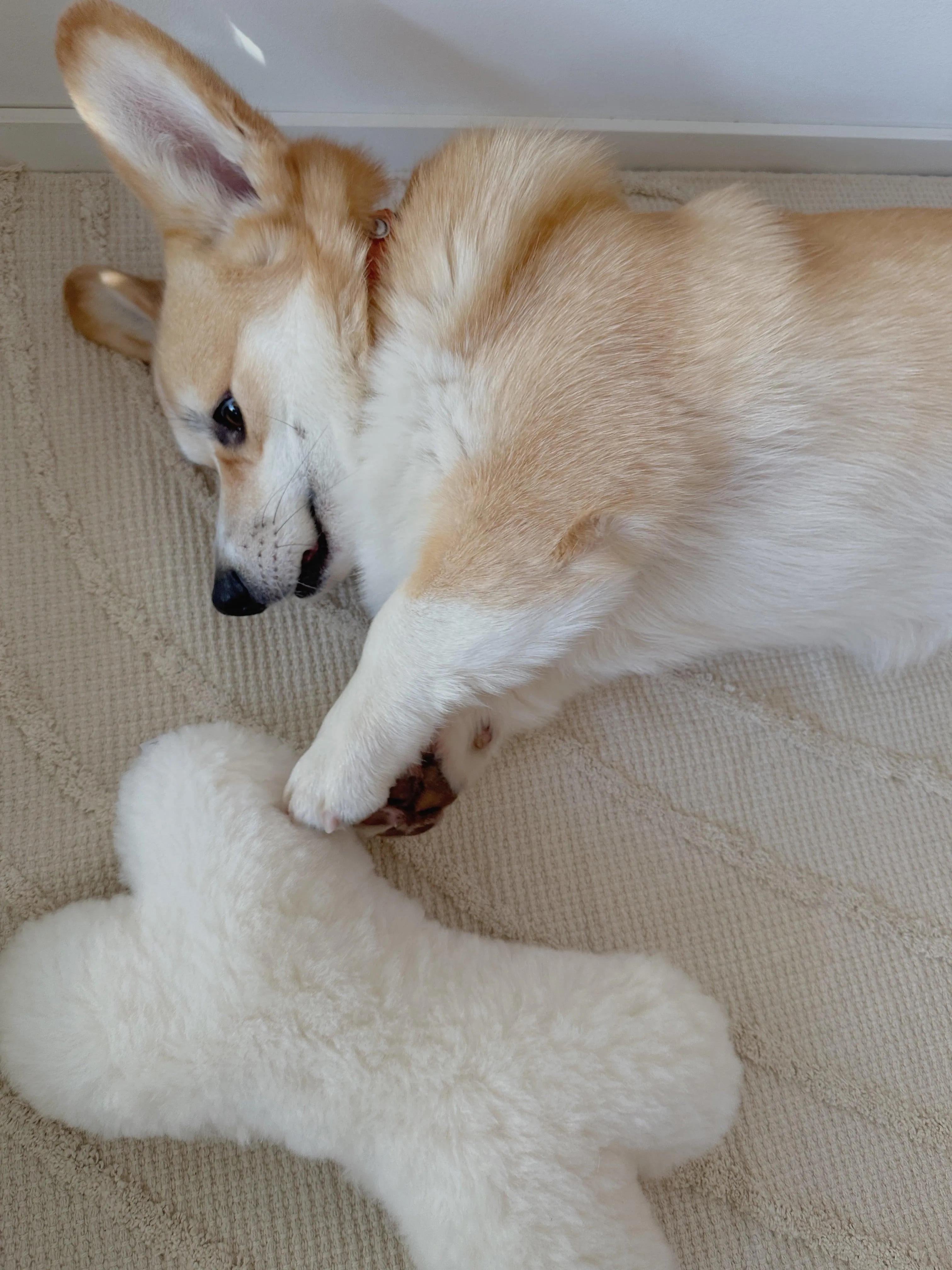 Natural Sheepskin Dog Toy - Bone - White