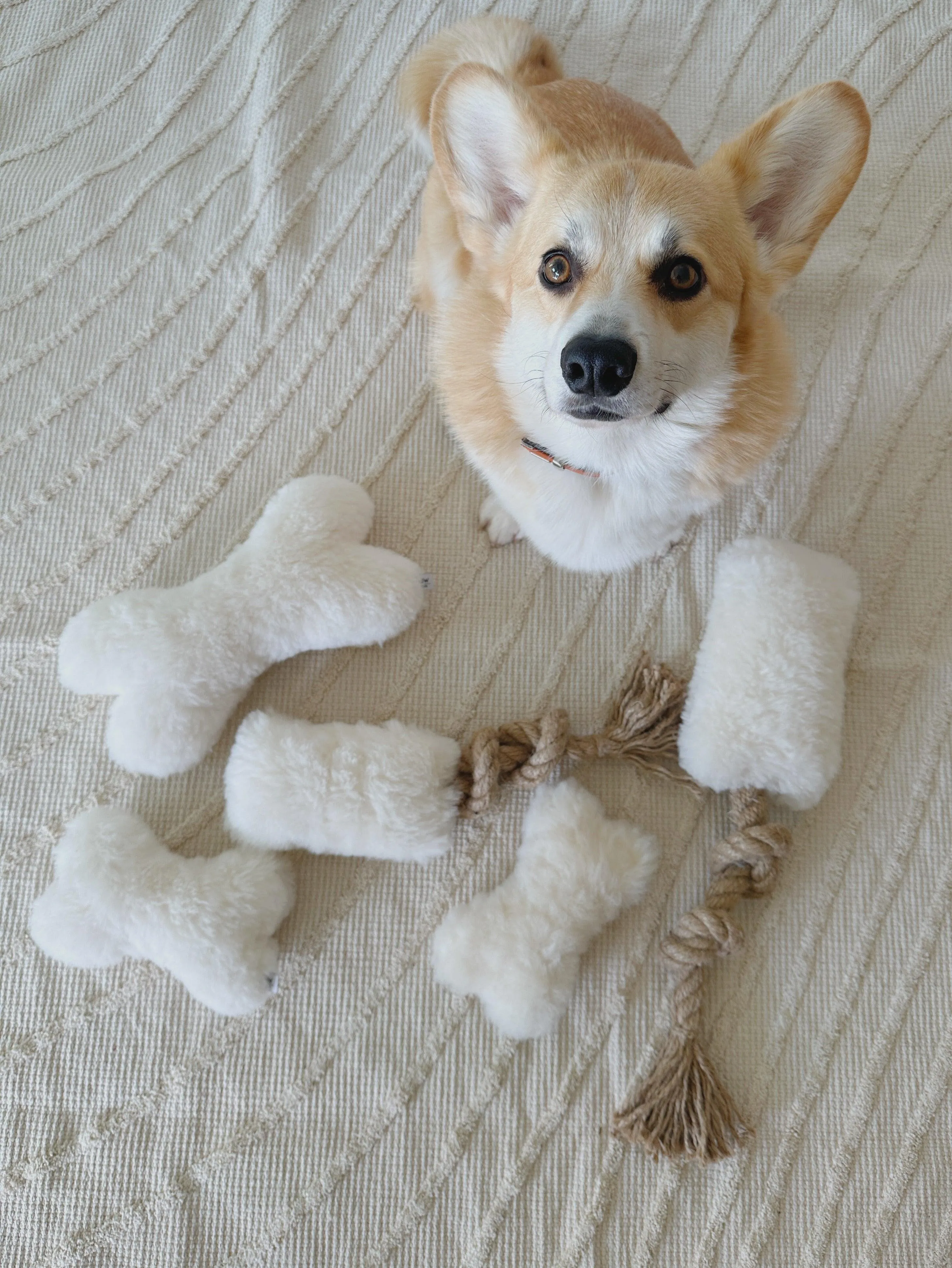 Natural Sheepskin Dog Toy - Bone - White