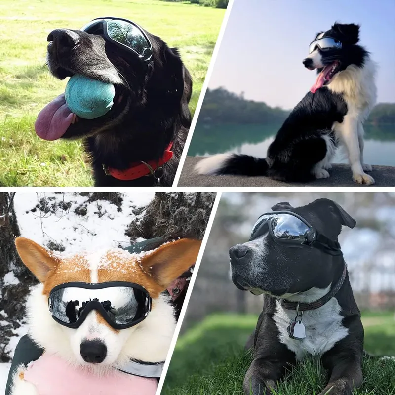 Outdoor Goggles for Dogs