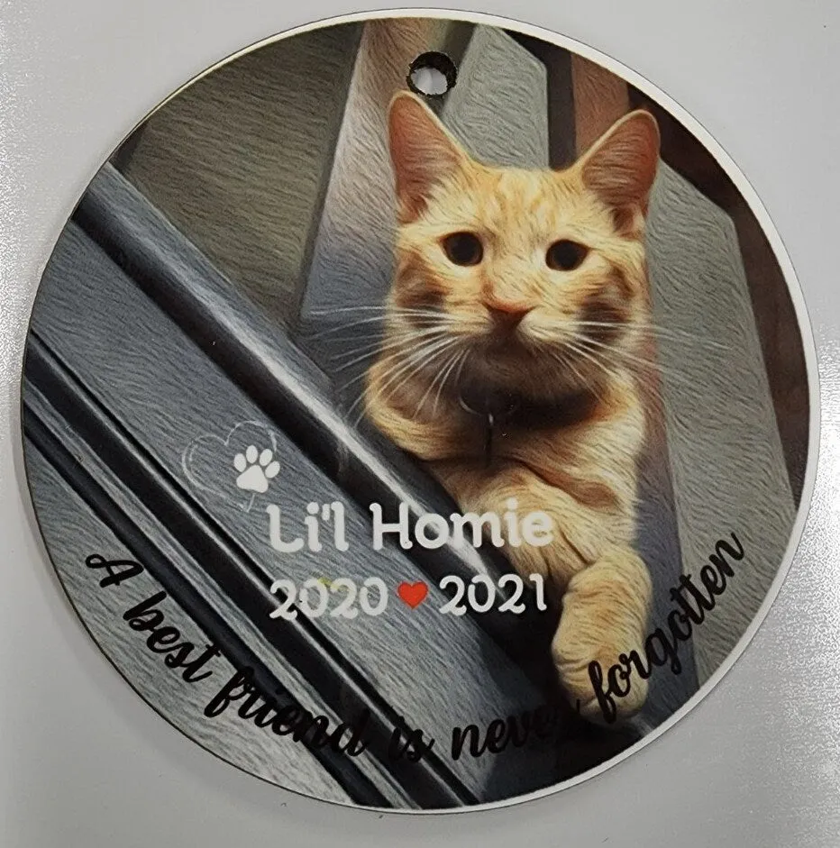 Pet Memorial Ornament with Name and Oil Painting Look Photo