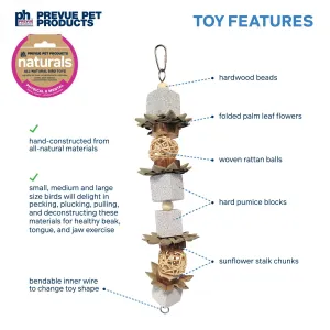 Prevue Pet Naturals Lava Cubes & Spheres Bird Toy