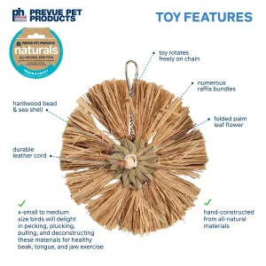 Prevue Pet Naturals Raffia Round Bird Toy