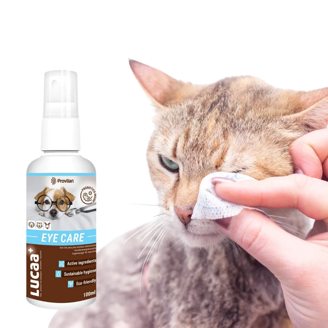 Probiotic Pet Eye Care Spray | Provilan LUCAA 