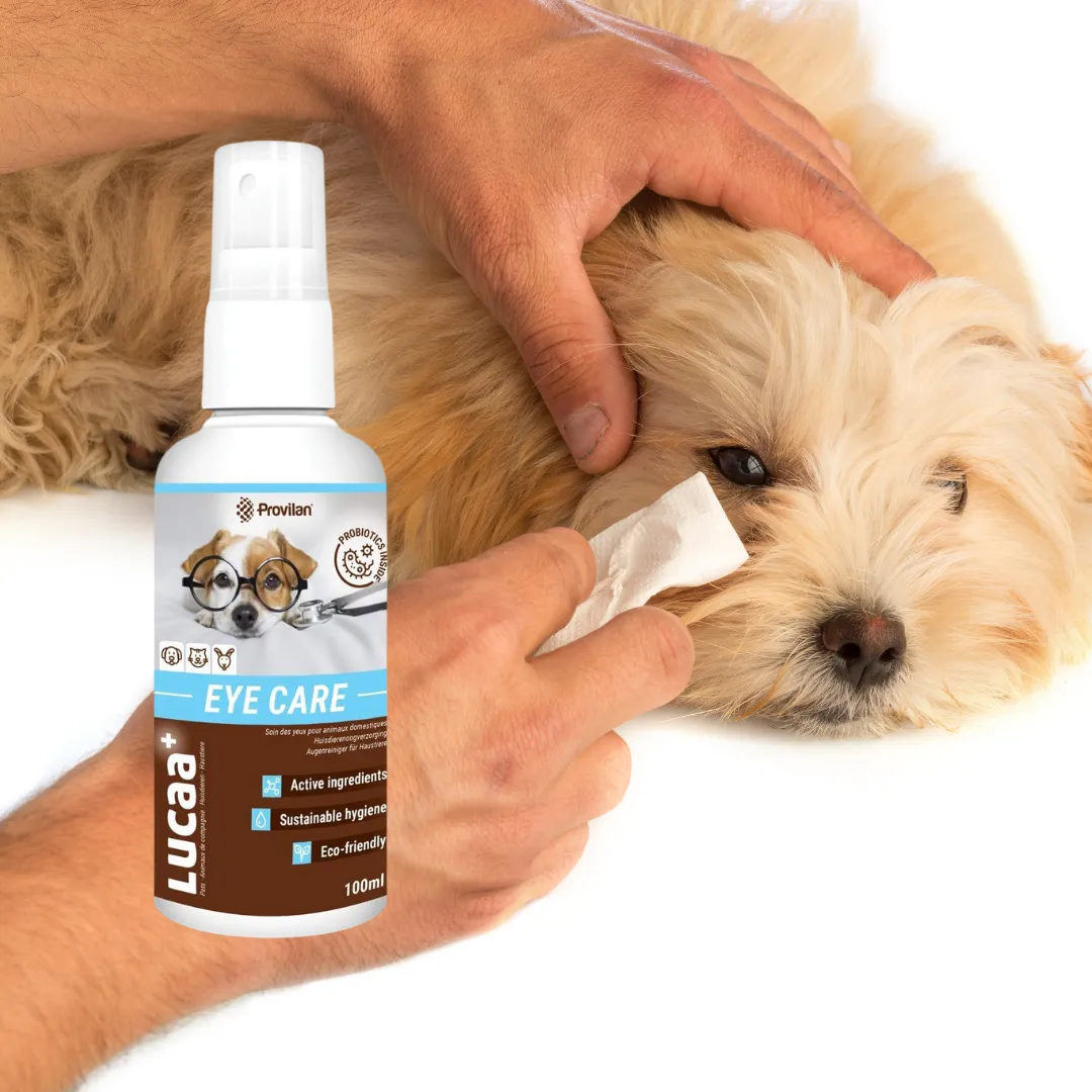 Probiotic Pet Eye Care Spray | Provilan LUCAA 