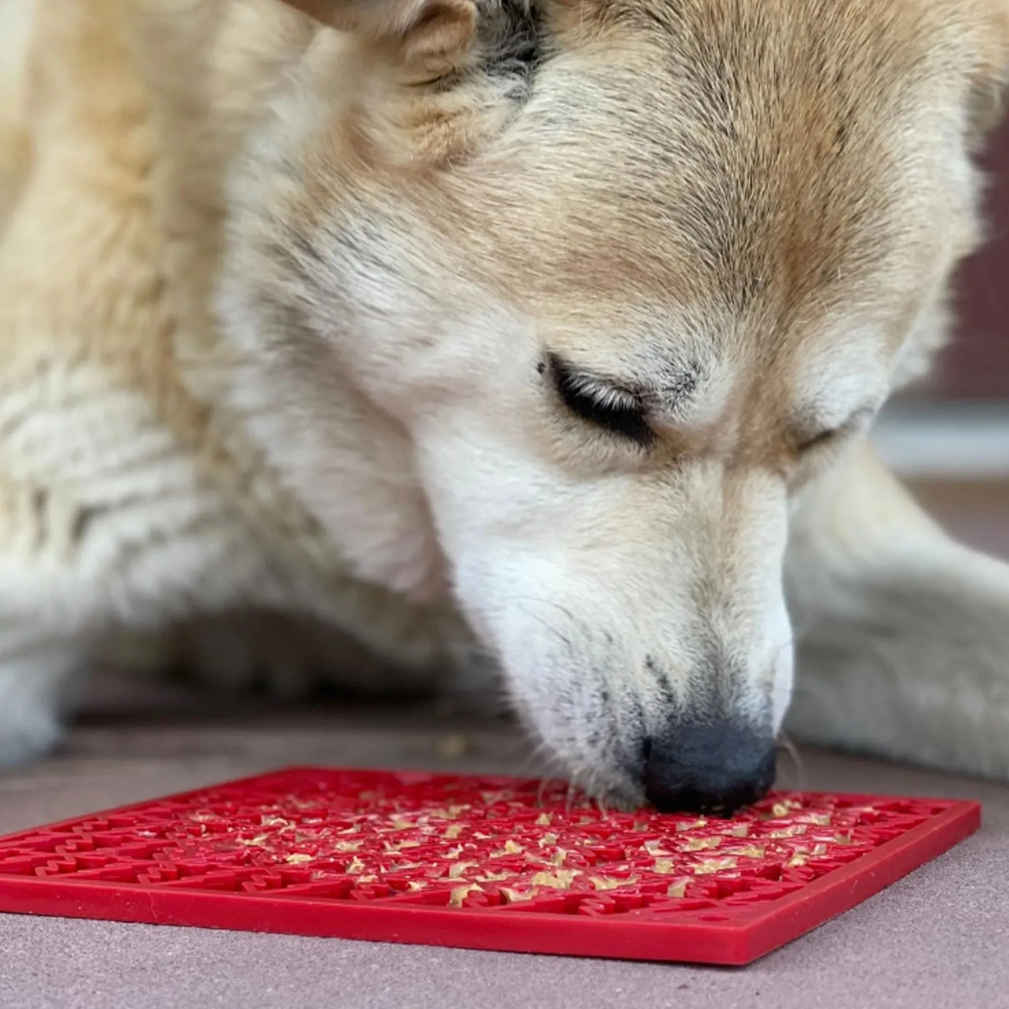 SodaPup Peace Licking Mat Dog Toy