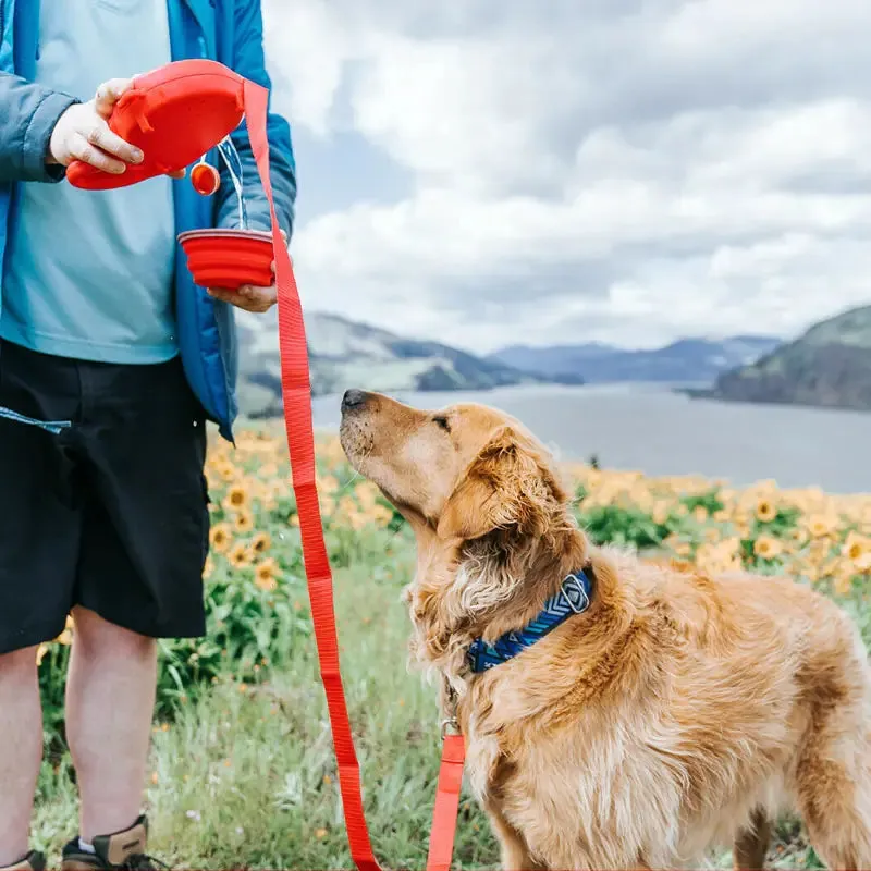 Versatile Pet Leash with Accessories