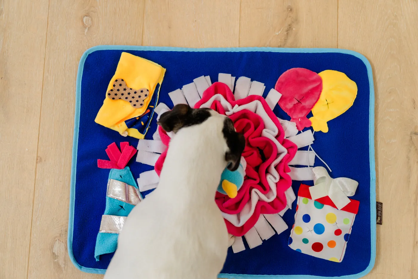 Woof-day Celebration Snuffle Mat